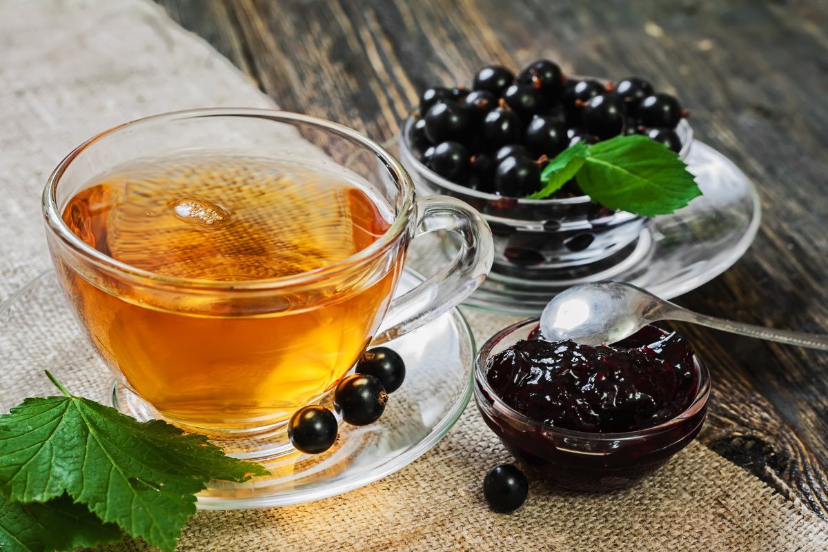 Finding Blackcurrant Tea Online and Its Benefits