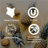 products/BlackTea4_a3f87dcc-df1f-4e8b-a1a5-c095db21a48b.jpg
