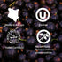 products/Blackcurrant4.jpg