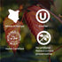 products/RaspberryTea4_658be85a-25e0-4c6d-a411-2a5ca1455395.jpg