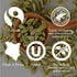 products/SPICEDTEA4_3c9296e1-523e-4529-a897-d9d192e57420.jpg