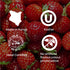 products/Strawberry4_4df19a71-1548-4da4-8ee8-c38a9f511990.jpg